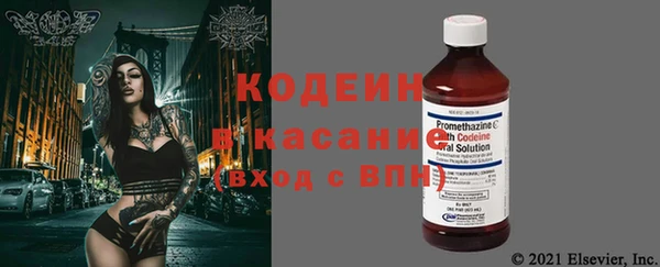 соль ск Богданович