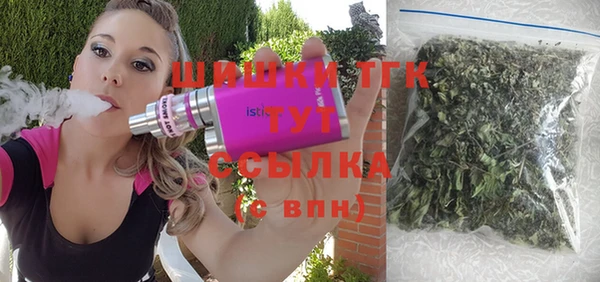 соль ск Богданович