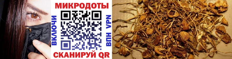 Галлюциногенные грибы GOLDEN TEACHER  Краснозаводск 